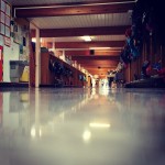 Our Halls